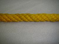 Pp/pa/pe Rope