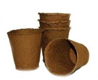 Peat Pot