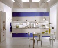 Kitchen Cabinet
