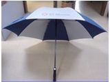 FU-0011 30â*8K Auto open golf umbrella(double layers)