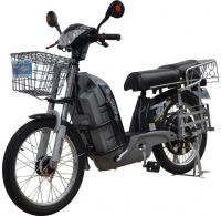 Electric Bicycle  (TDL909KZ)