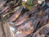 Dried Fish ( Tuna