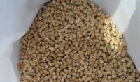 High Quality Cat Litter