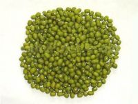 mungbean From China