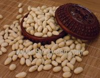Chinese Peanuts Blanched Kernels