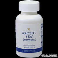 Arctic Sea