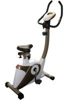 magnetic bike