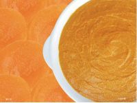 Apricot Puree Concentrate