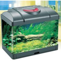 Fish Aquarium
