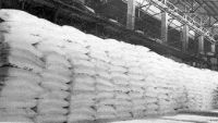 Urea 46 Prilled &amp; Granular Urea Dealers, Urea Fertilizers, Urea Wholesalers, Urea Fertilizer Exporters