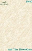 Interior Ceramic Tile