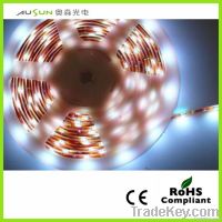 LED Flex strip SMD3528 60LED/m 300led/reel color temperature available