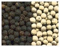 Black Pepper , Pepper