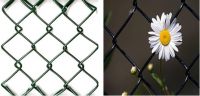 PVC Coated Chain Link Fence From China
