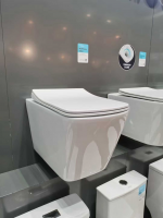 Wholesales One Piece Ceramic Wull Hung