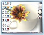 7 Inch LCD Panel