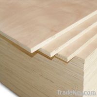 poplar plywood for furniture