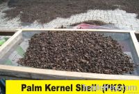 Palm Kernel Shell