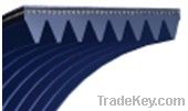 Poly V Belt