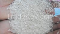 4218 Rice