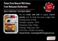 Exotic Malaysian Honey (BULK)