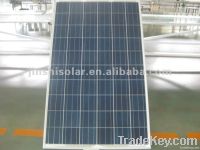 Poly Solar Module 230w