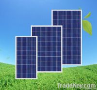 Poly Solar Module