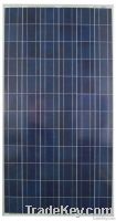 Poly Solar Module