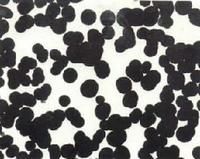 Carbon Black