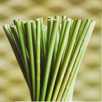 Why don’t you use Eco Friendly Grass Drinking Straws?