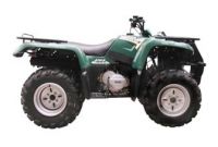 JS ATV400 VW Buggy