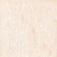 Polished Tile(NAVNA SERIES
