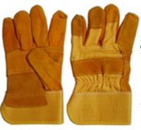 PT-GLOVE