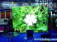 CCY Indoor Full Color Led Electronic
