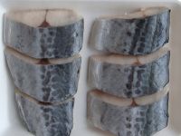Frozen Fillet