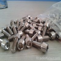 iso7380 pure titnaium screw