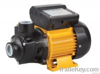 QB Series Peripheral Water Pump