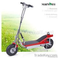 HOT Sell Electric Scooter with CE certificate DR24300