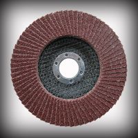 Flap Disc