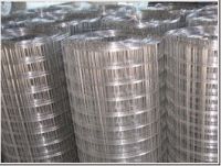 Stainless Steel Welded Wire Mesh