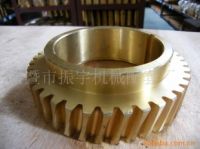 CW61100 Worm Gear