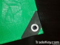 PE Tarpaulin for transportation and storage