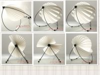 Conch Light