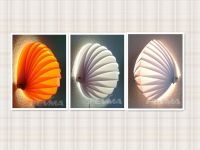 Shell Wall Light
