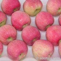 Red Star  Apple