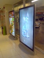 Ground Standing LED Slim Lightbox