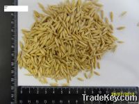 Oat food / forage