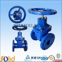 Gate Valve