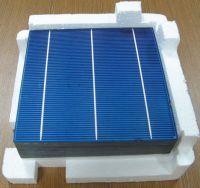 156mm Polycrystalline Solar cell / 3bus-bar