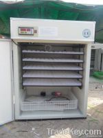 Chicken egg incubator YZITE-10 Marked CE